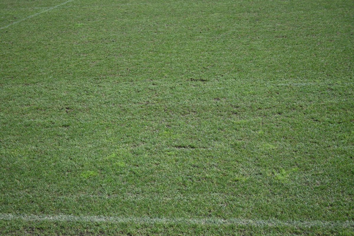 Antrenament România Rugby- Arcul de Triumf