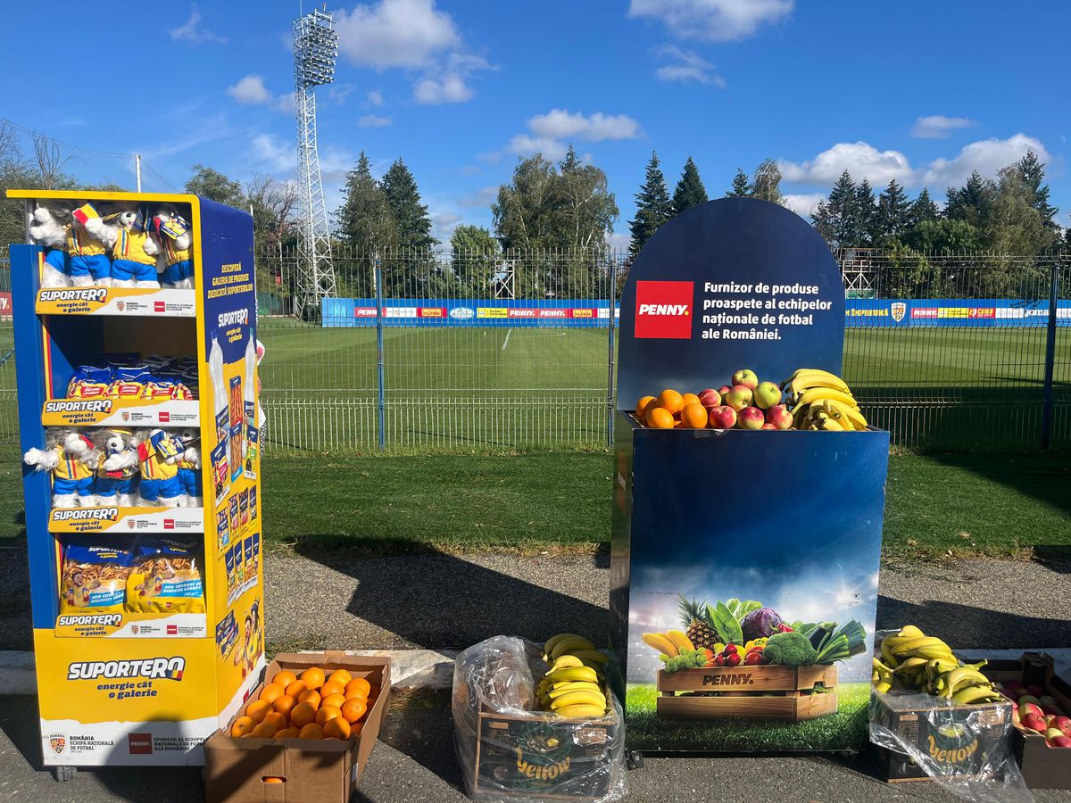 Mircea Lucescu a sunat adunarea! Primii „tricolori” veniți la lot pentru meciurile României din septembrie + Decizia luată de FRF