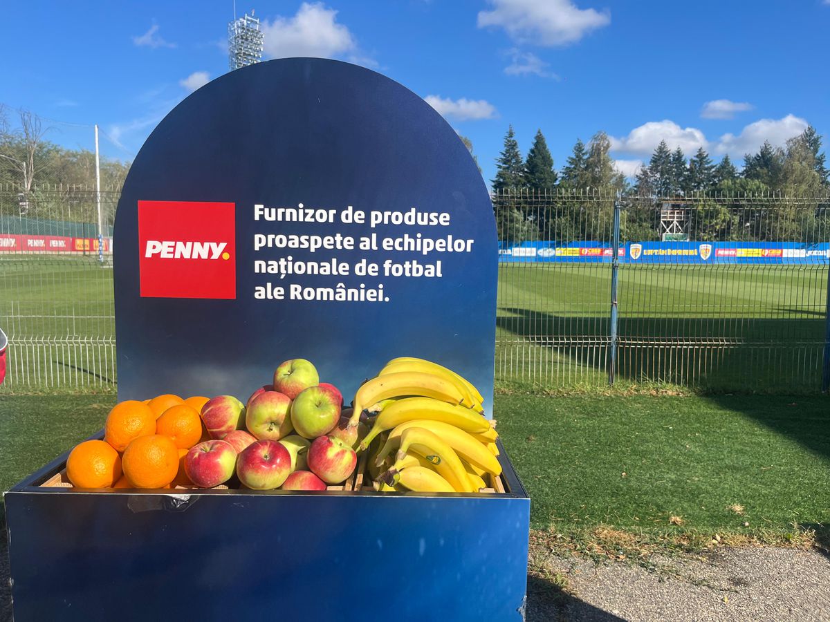 Mircea Lucescu a sunat adunarea! Primii „tricolori” veniți la lot pentru meciurile României din septembrie + Decizia luată de FRF