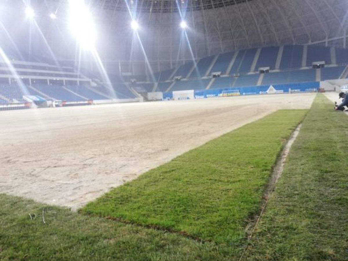 CS UNIVERSITATEA CRAIOVA // VIDEO + FOTO Iată cum arată noul gazon hibrid de 700.000 de euro de pe „Ion Oblemenco”