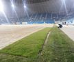 CS UNIVERSITATEA CRAIOVA // VIDEO + FOTO Iată cum arată noul gazon hibrid de 700.000 de euro de pe „Ion Oblemenco”