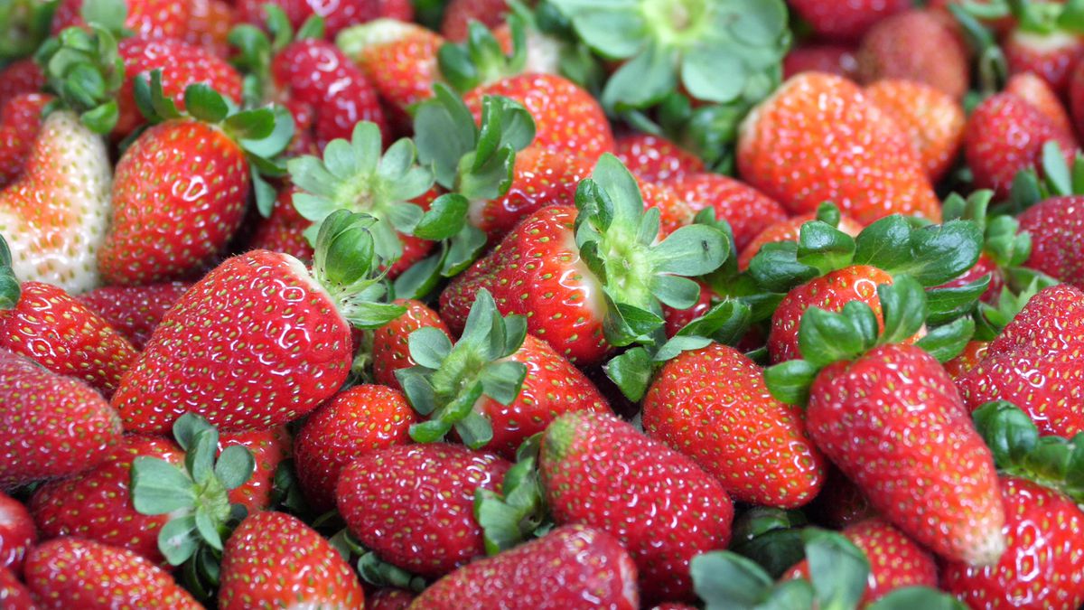 Meci de județeană lângă podgoriile cu Merlot și Cabernet Sauvignon de la Ceptura » „Portarul e băiat de comitet, anunță când e beat!”