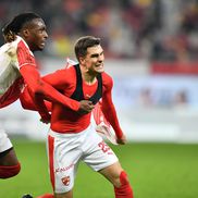 Sărbătoare pe gazon după Dinamo - CFR Cluj / Foto: Cristi Preda (GSP)