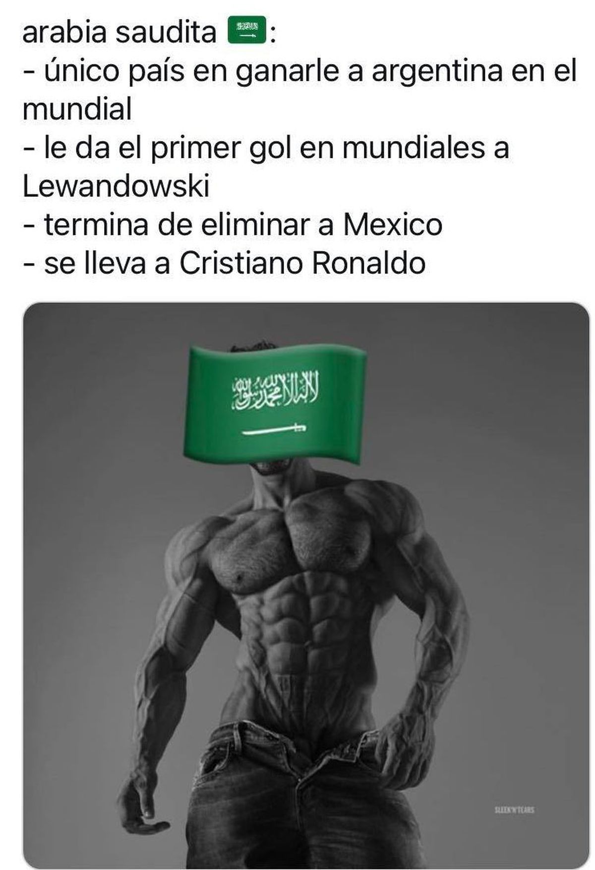 Internetul a „explodat”! Cele mai tari glume și meme-uri după transferul lui Cristiano Ronaldo la Al-Nassr