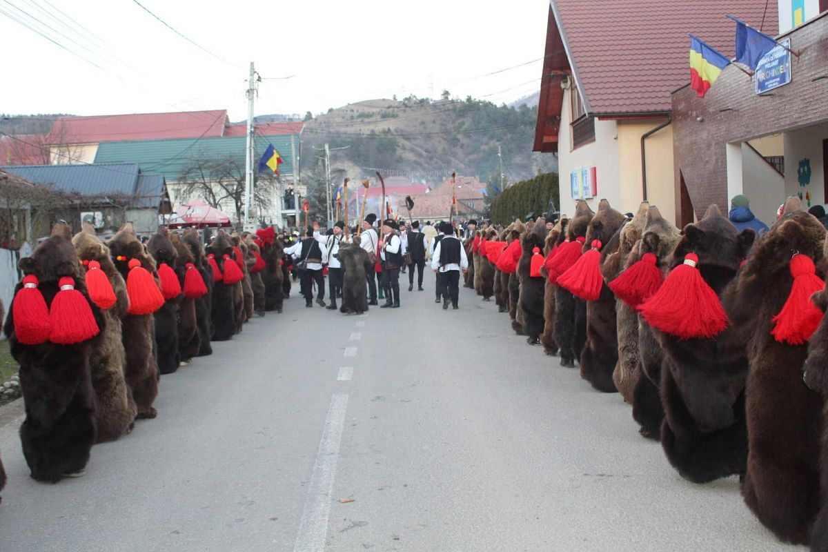 Imagini bestiale » Campioana Mihaela Cambei a intrat în „Jocul ursului”