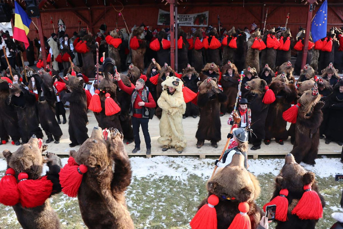 Imagini bestiale » Campioana Mihaela Cambei a intrat în „Jocul ursului”
