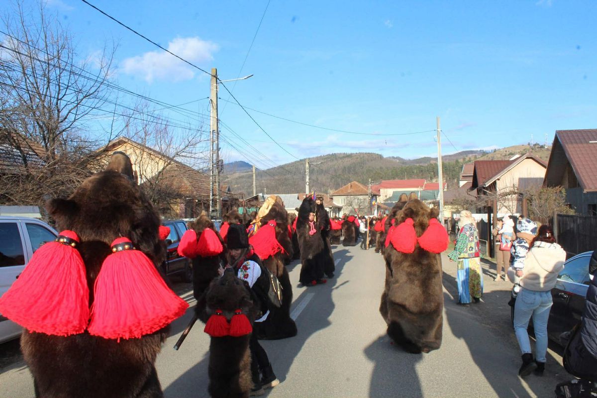 Imagini bestiale » Campioana Mihaela Cambei a intrat în „Jocul ursului”