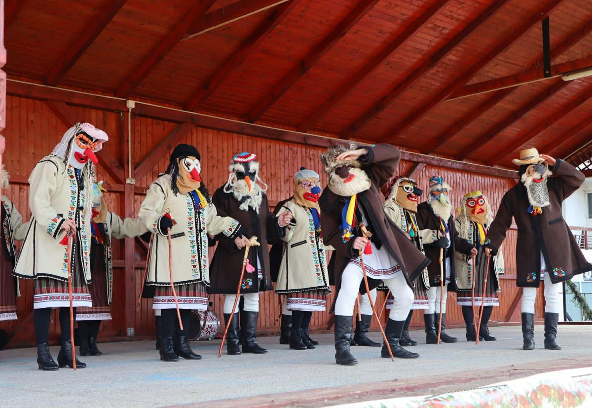 Imagini bestiale » Campioana Mihaela Cambei a intrat în „Jocul ursului”