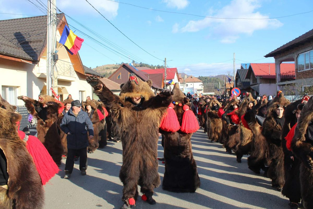 Imagini bestiale » Campioana Mihaela Cambei a intrat în „Jocul ursului”