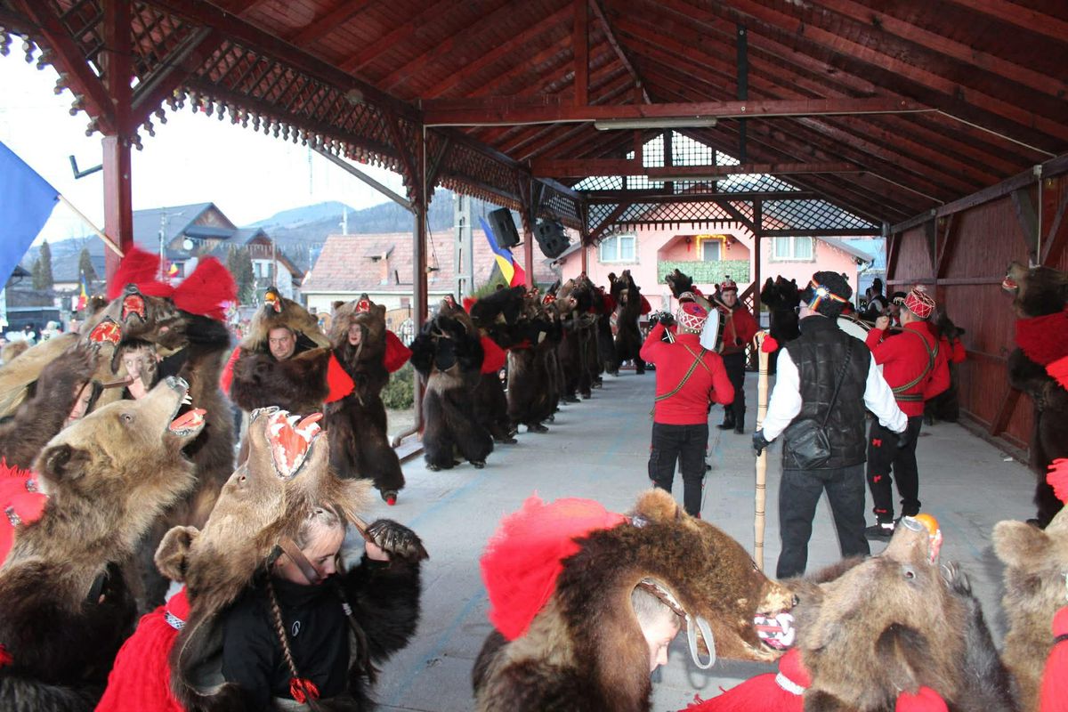 Imagini bestiale » Campioana Mihaela Cambei a intrat în „Jocul ursului”