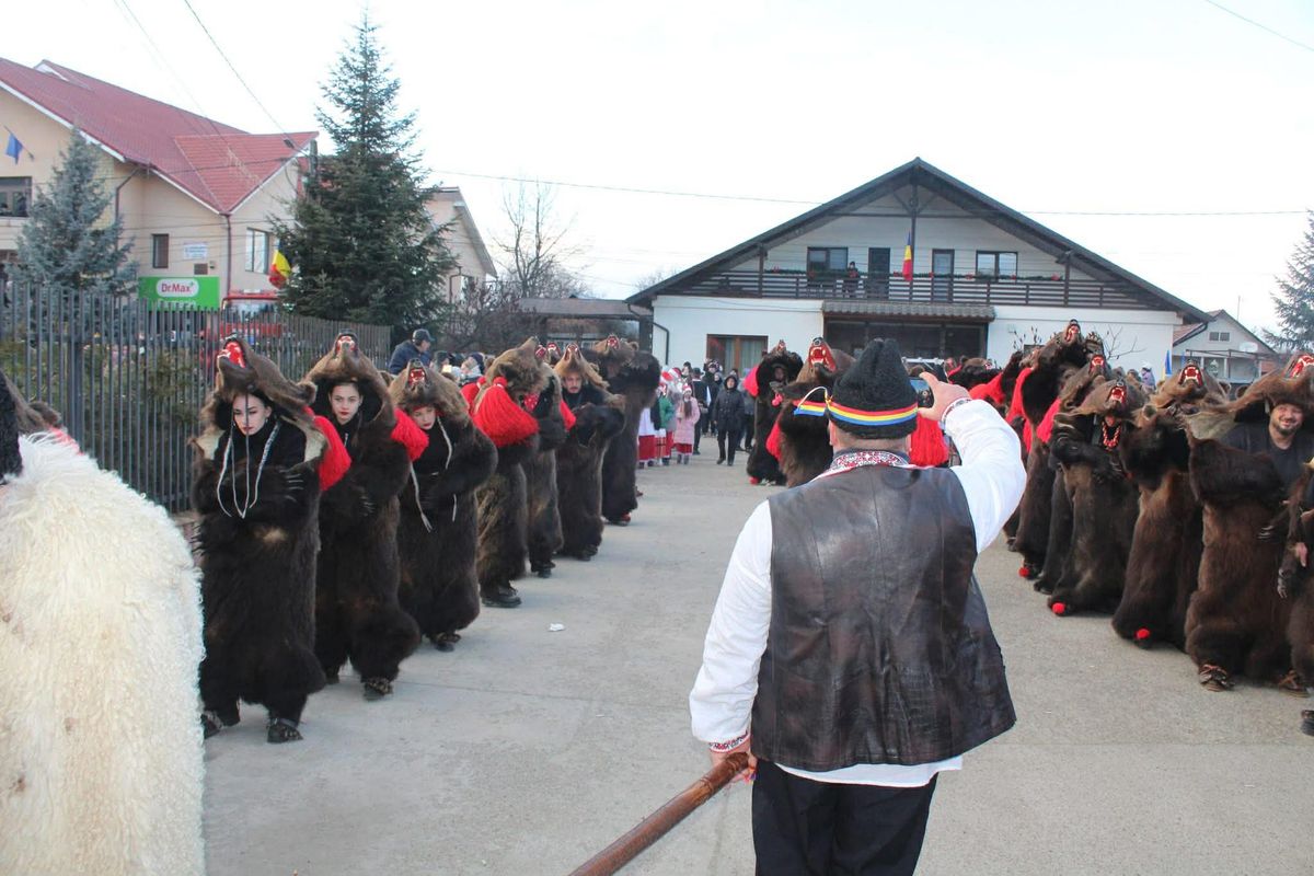 Imagini bestiale » Campioana Mihaela Cambei a intrat în „Jocul ursului”