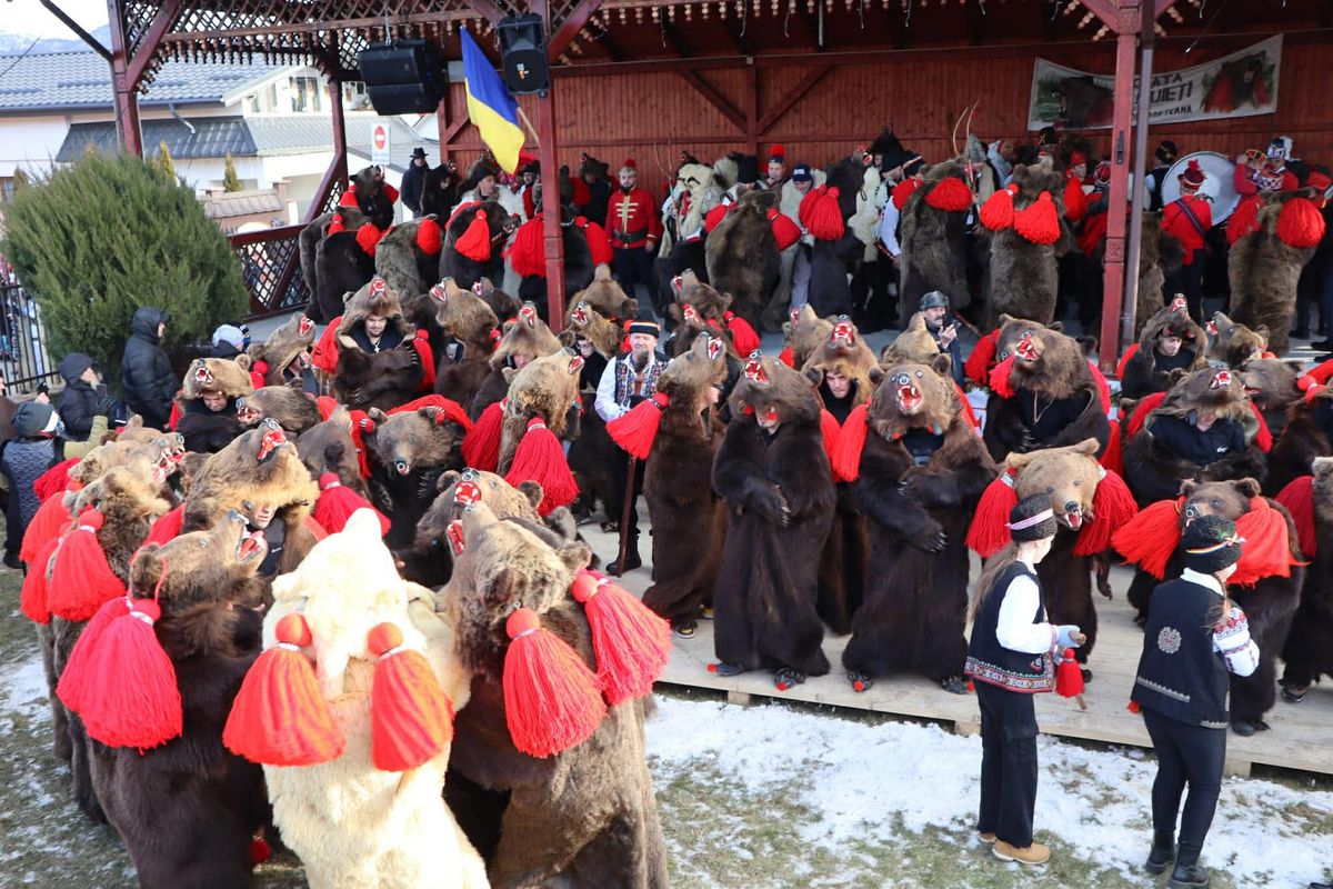 Imagini bestiale » Campioana Mihaela Cambei a intrat în „Jocul ursului”